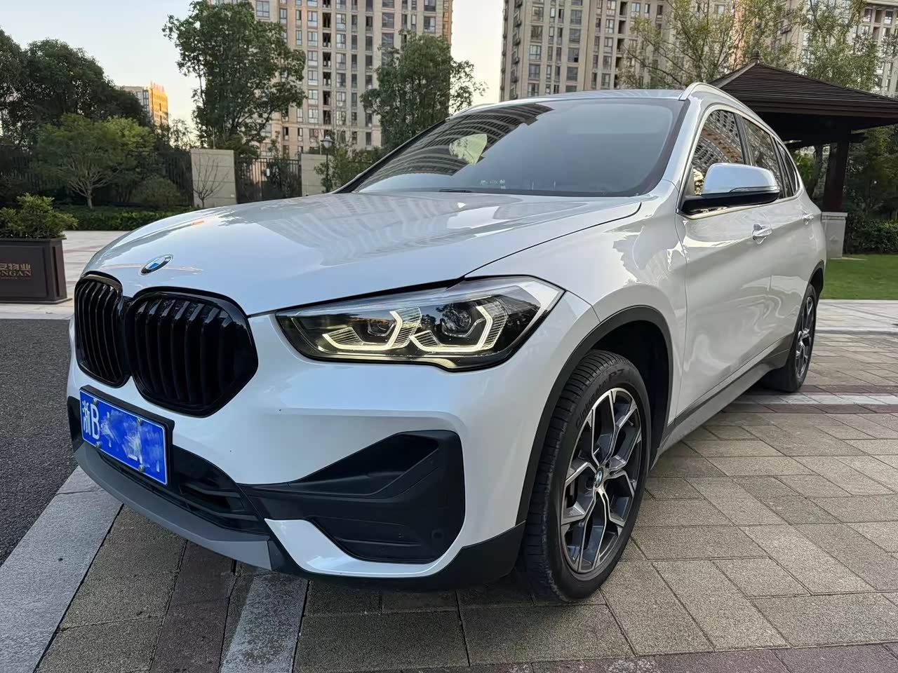 X1 2022 sDrive25Li Leading
