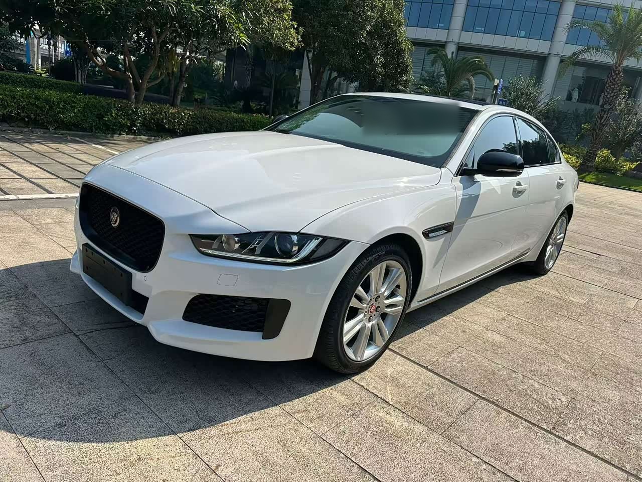 XEL 2019 2.0T 250PS Exclusive