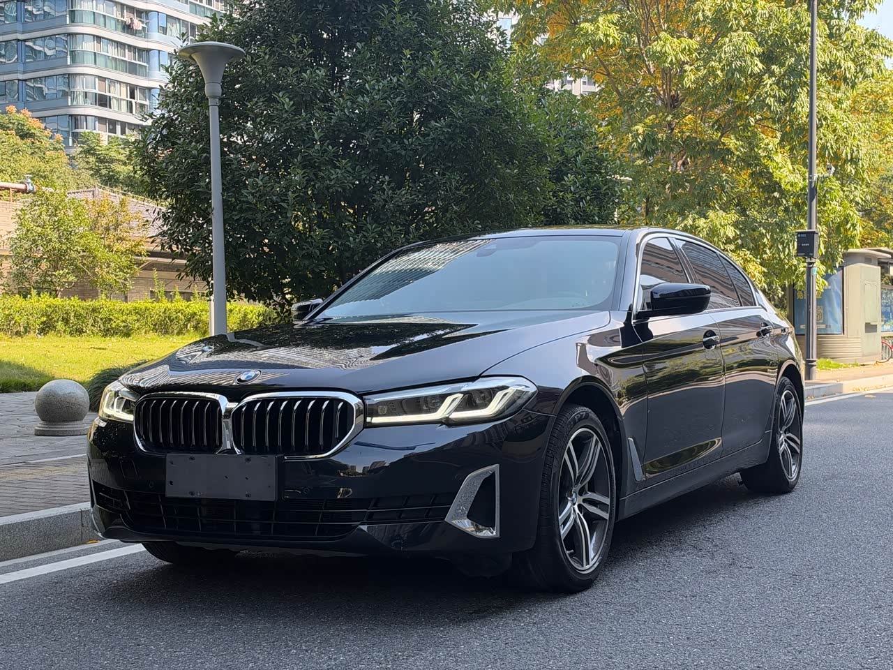 5 Series 2021 530Li Leading Luxury