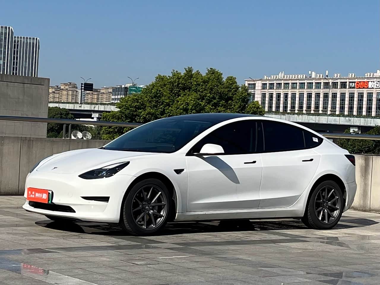 Model 3 2021 Standard Range RWD Upgraded 3D6