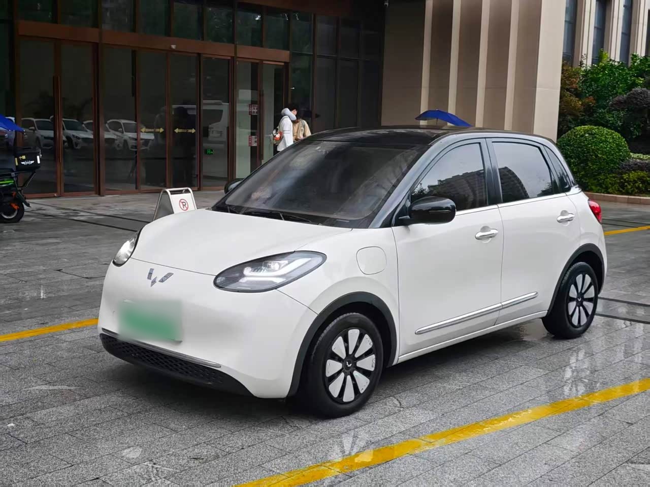 Bingo 2023 333km +