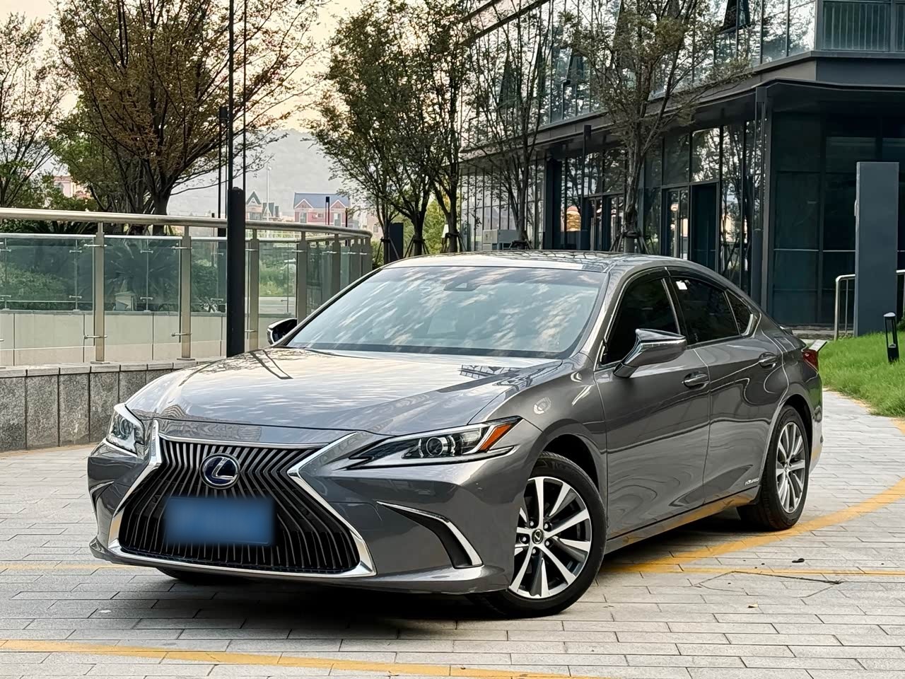 ES 2018 300h Excellence China V