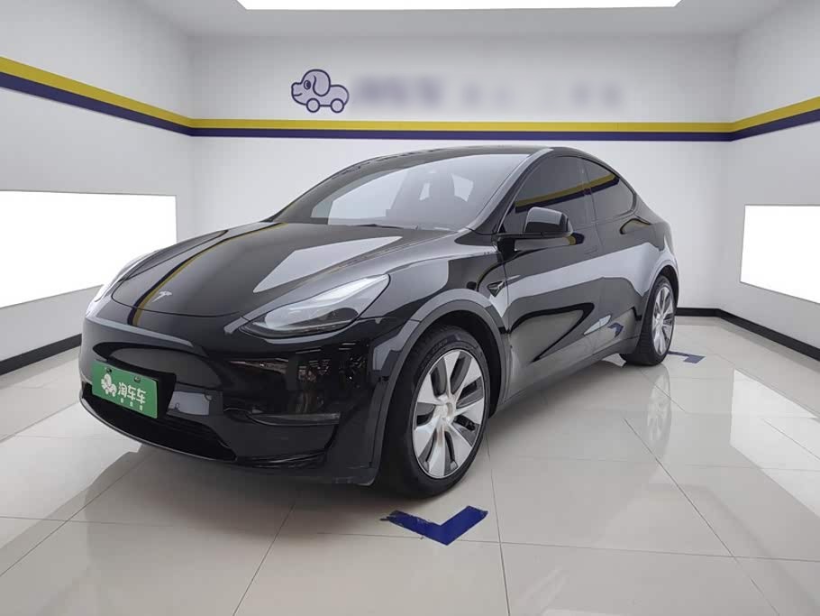 Model Y 2021 Standard Range RWD