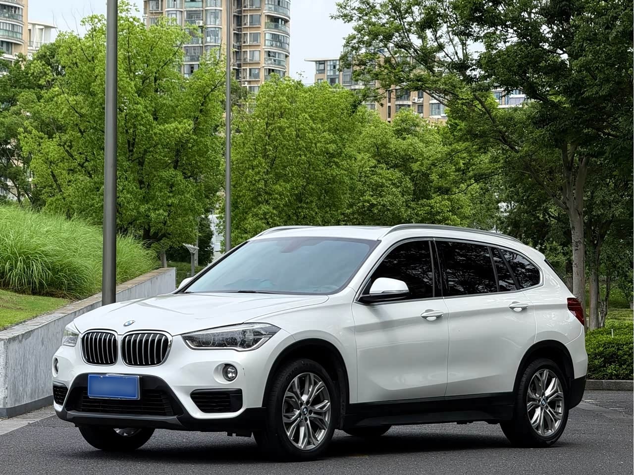 X1 2018 sDrive20Li Leading