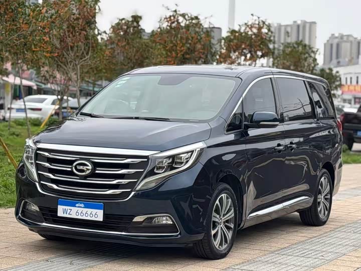 Trumpchi 传祺M8 2018款 320T 豪华版