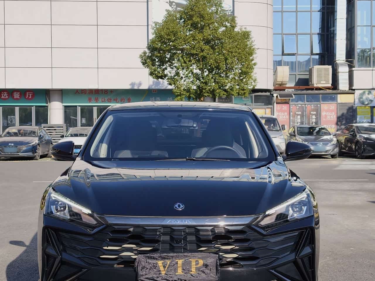 Yixuan 2025 1.5L AT Luxury