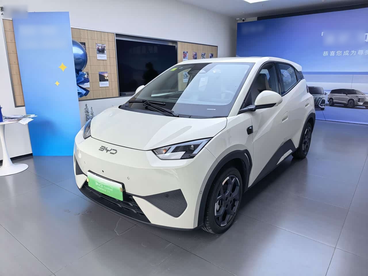 Seagull 2025 ADAS 405km