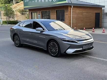 Han 2021 EV Standard Range Luxury