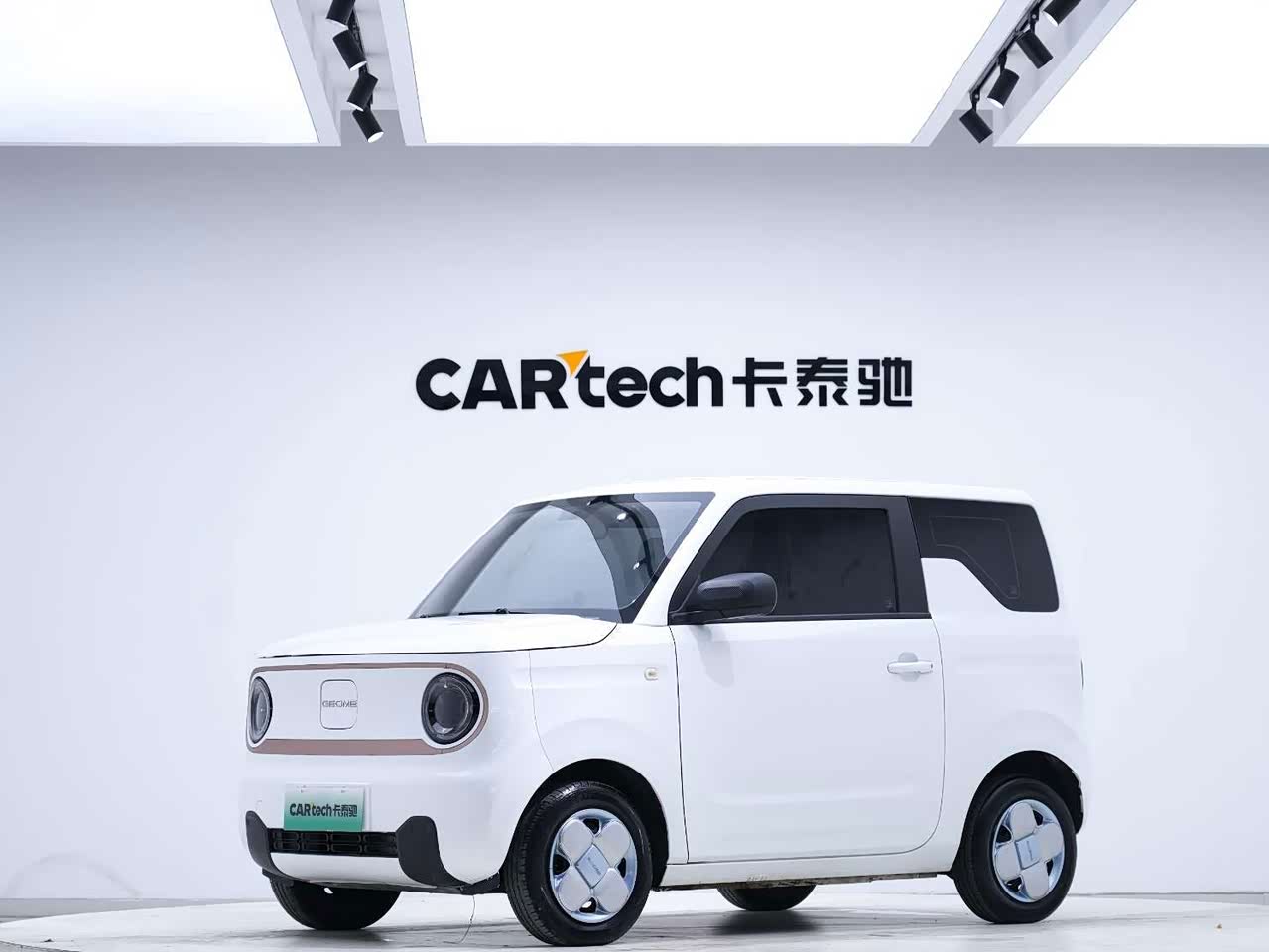 Panda 2024 Panda mini 200km Endurance Bear