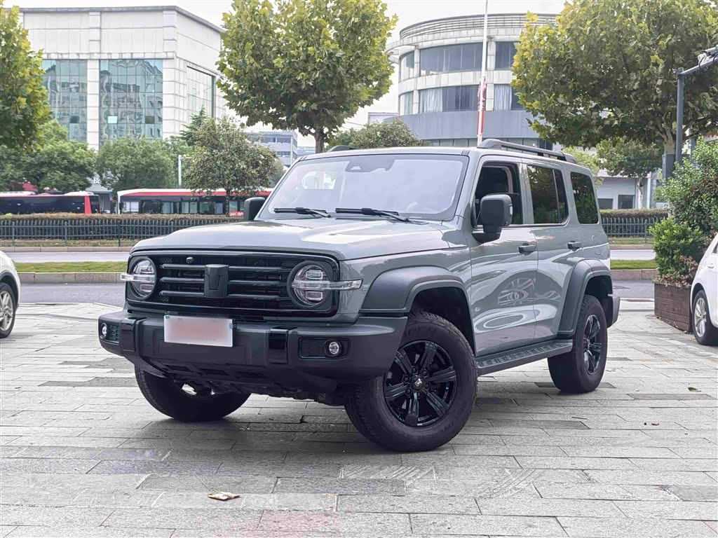 300 2021 Off-road 2.0T