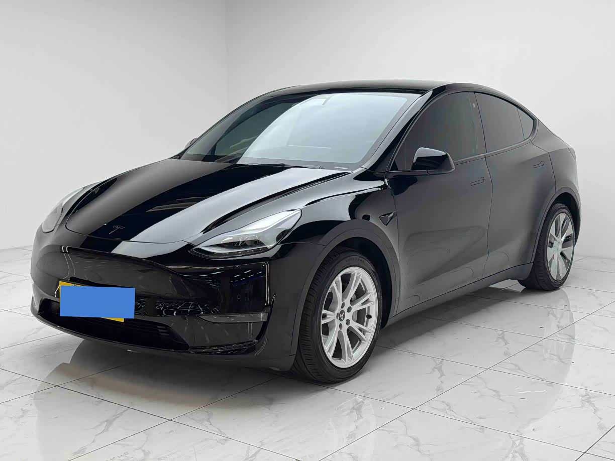 Model Y 2021 Standard Range RWD