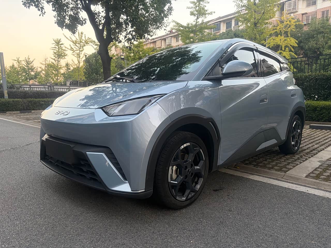 Seagull 2024 Honor 305km