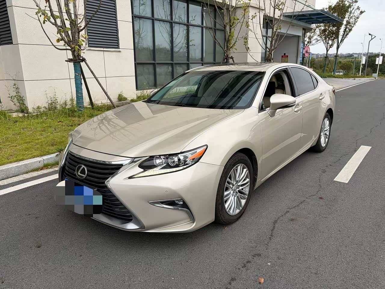 ES 2015 200 Elite