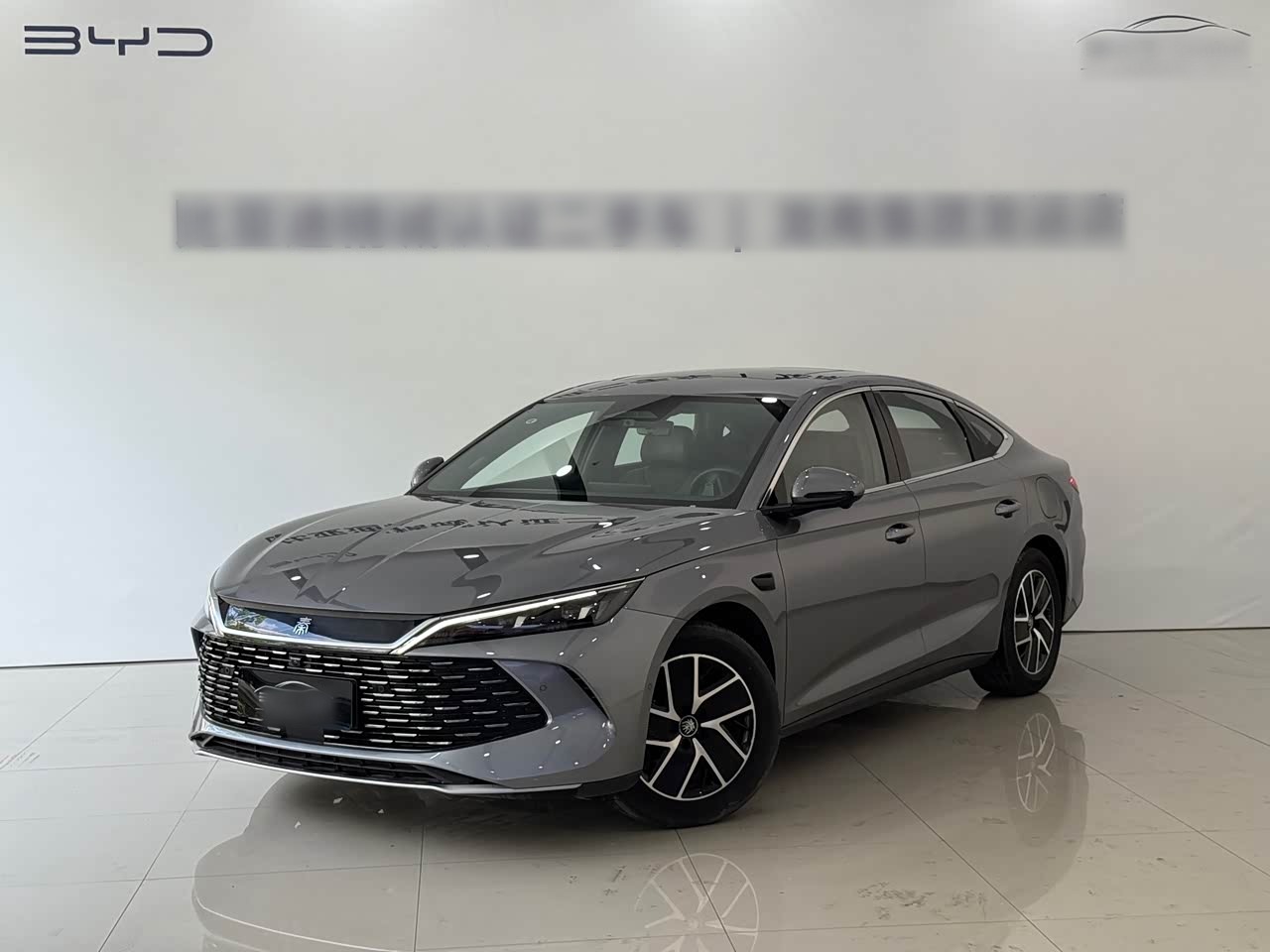 Qin L 2025 DM-i ADAS 120KM