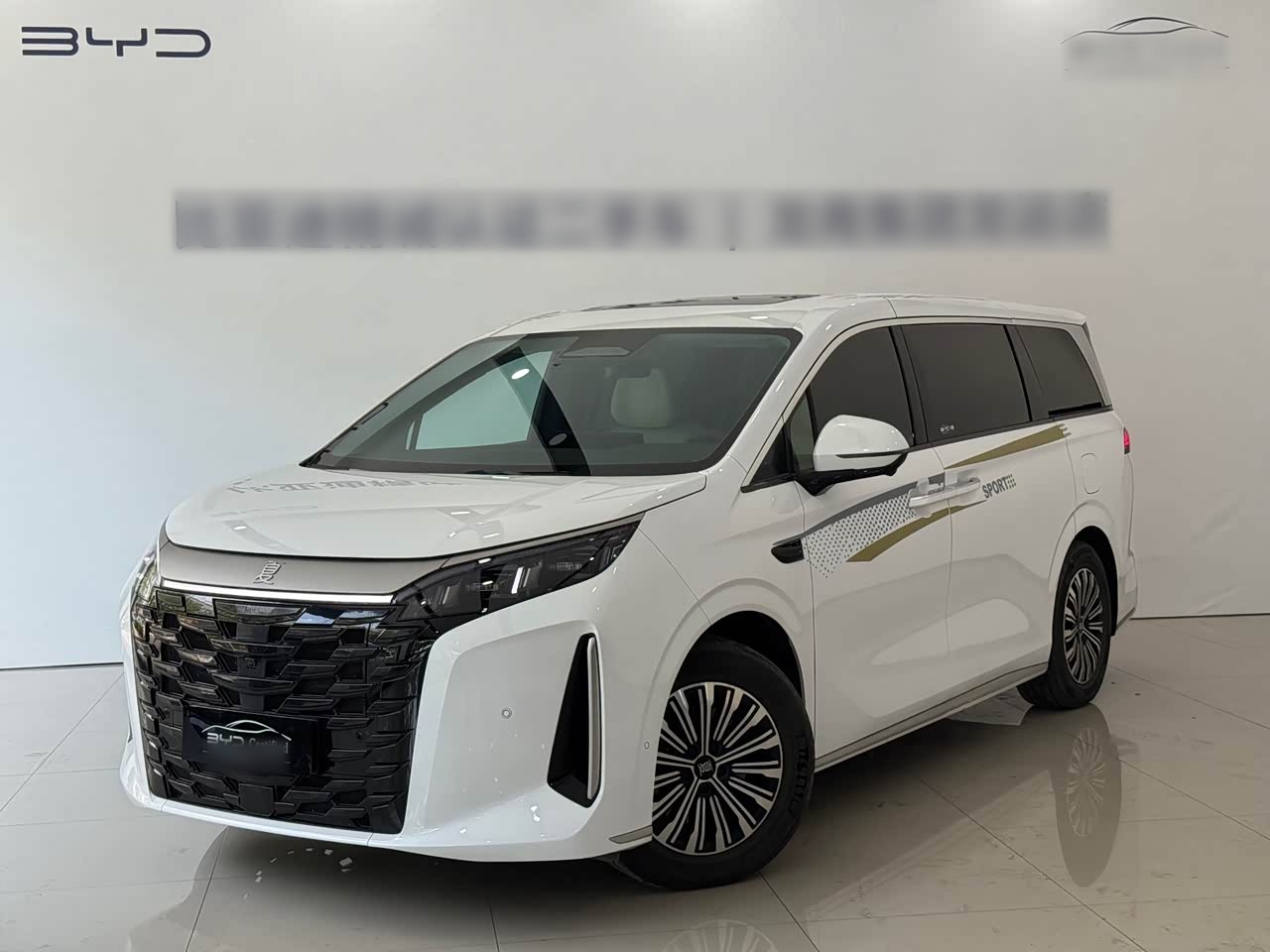 2025 DM-i 1.5T 180km Excellence
