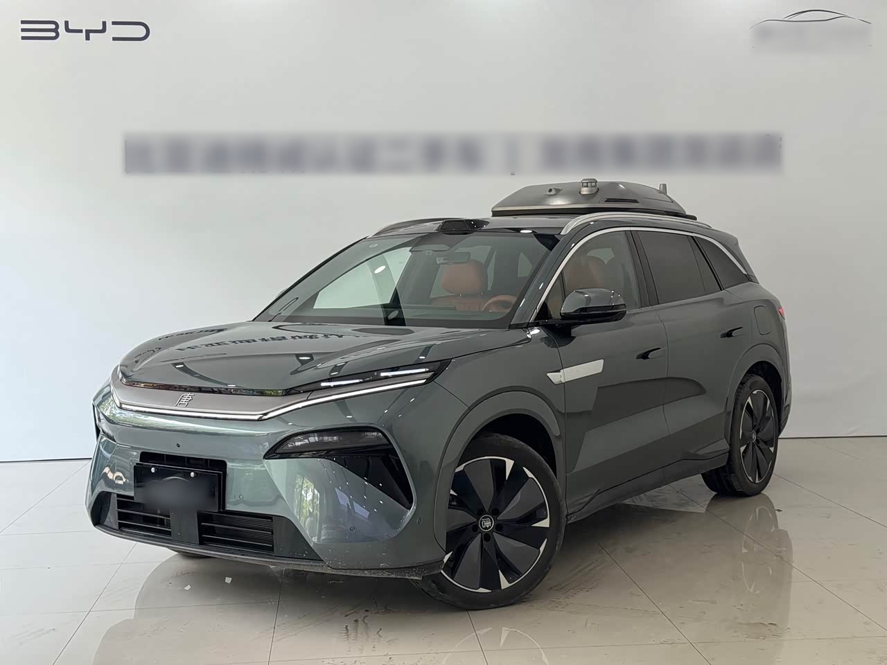 Tang L 2025 DM 175KM