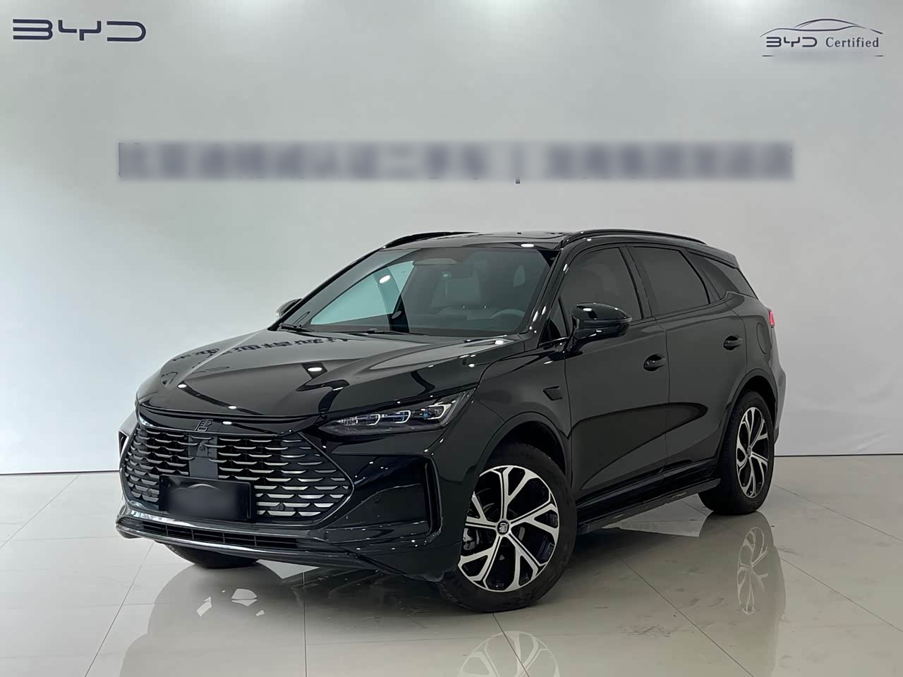 Tang EV 2025 ADAS DM-i 115KM Flagship