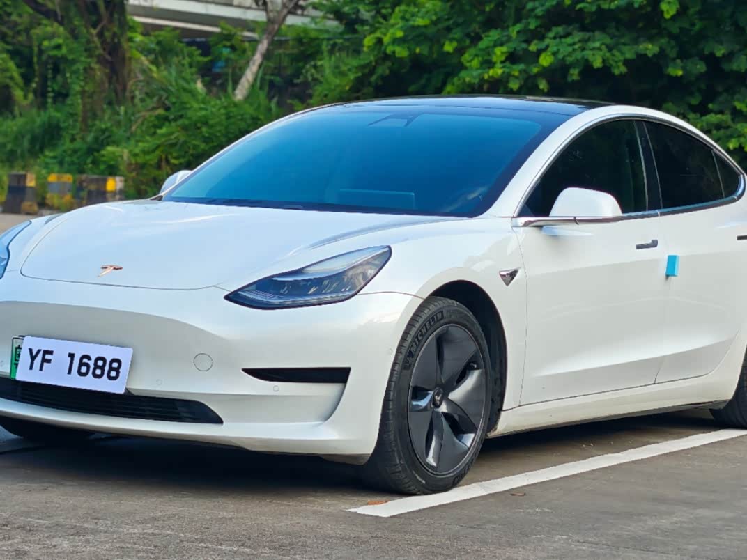 Model 3 2020 Standard Range RWD Upgraded
