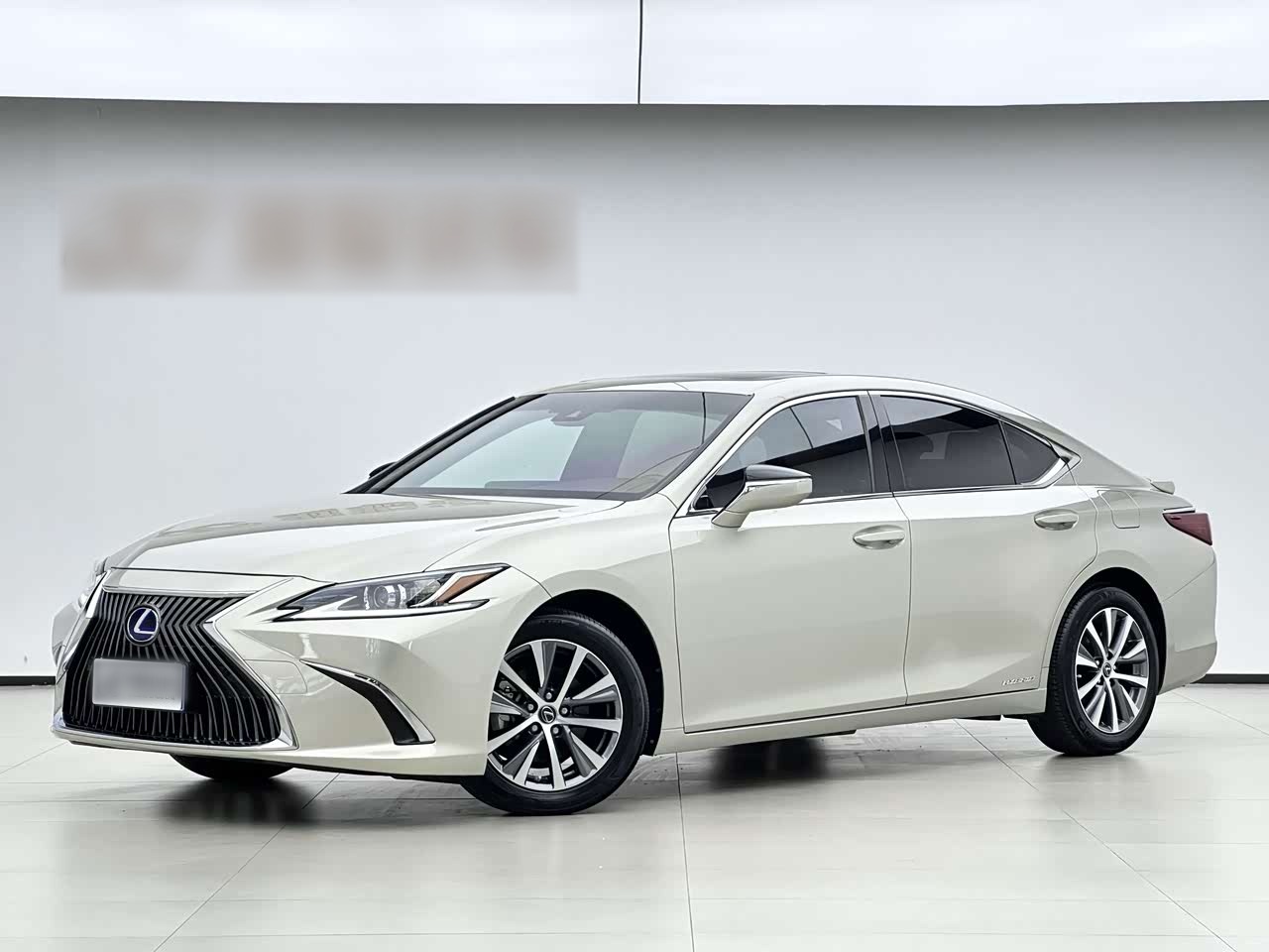 ES 2020 300h Excellence China V