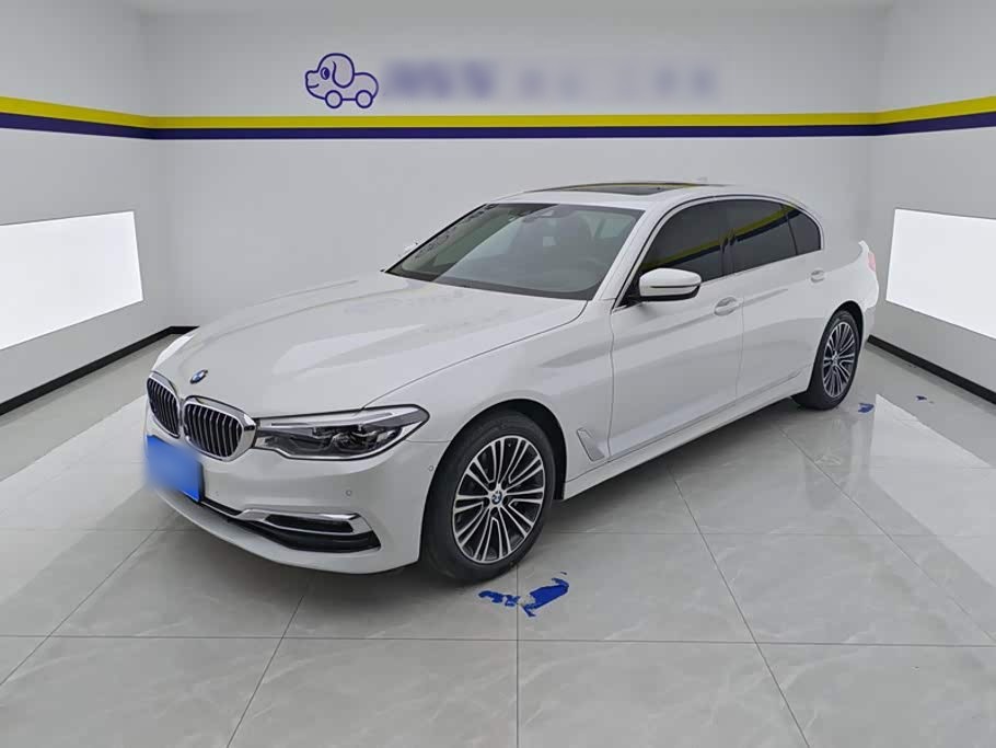 5 Series 2019 530Li Exclusive Luxury