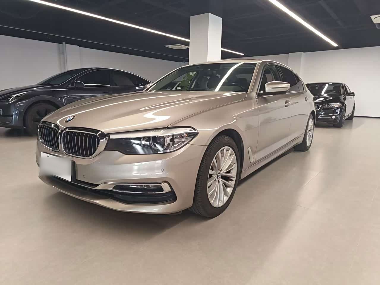 5 Series 2019 525Li Luxury