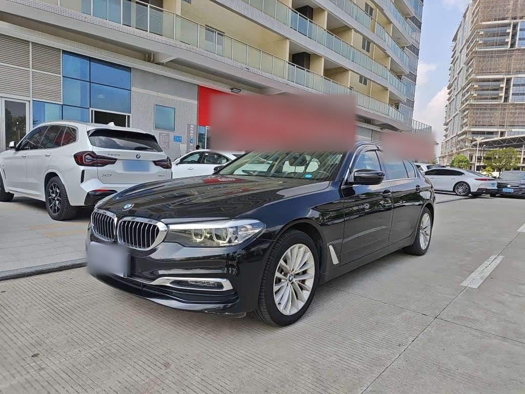 5 Series 2019 530Li Leading Luxury