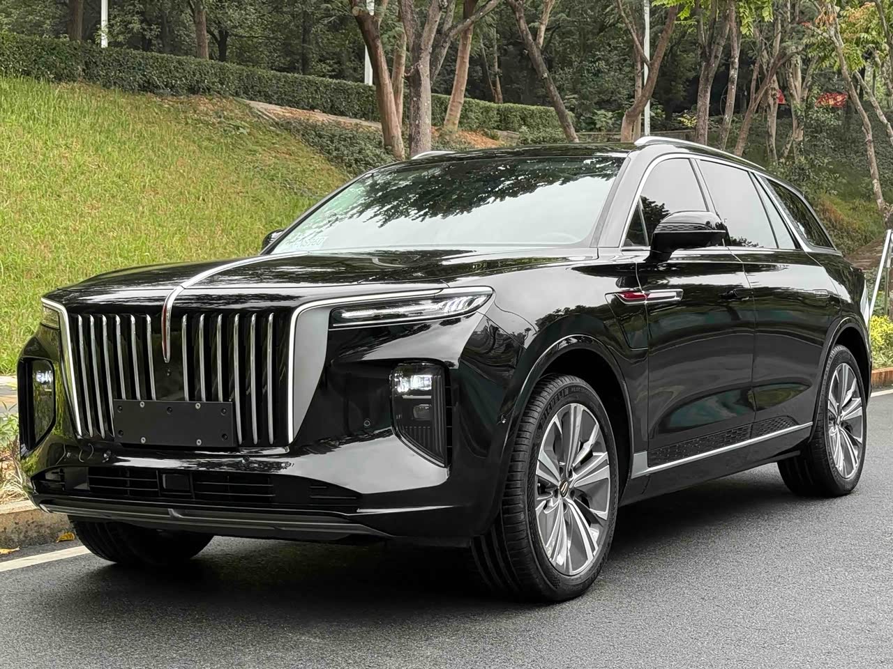 E-HS9 2021 460km 6-Seater