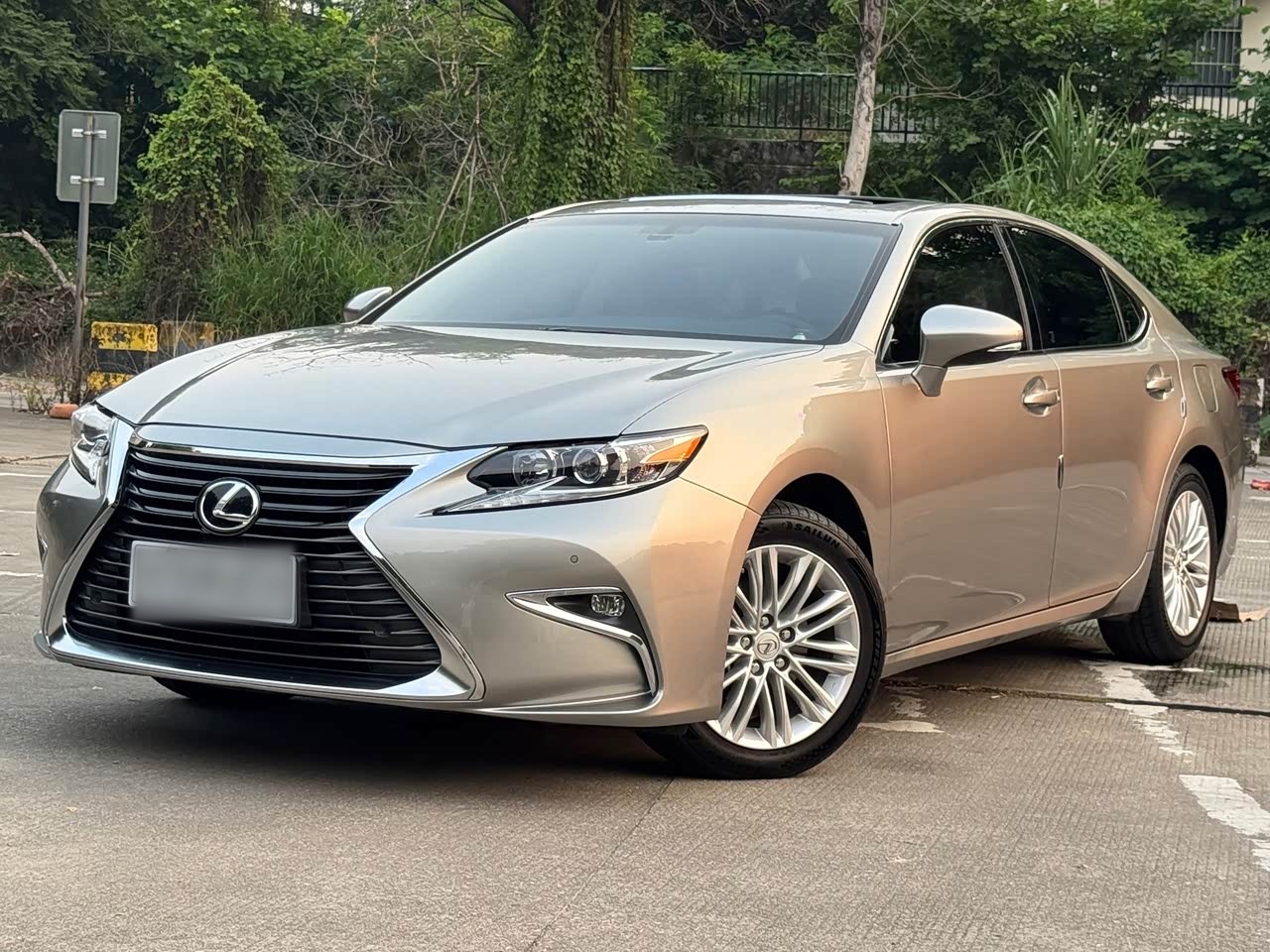 ES 2015 250 Elegant