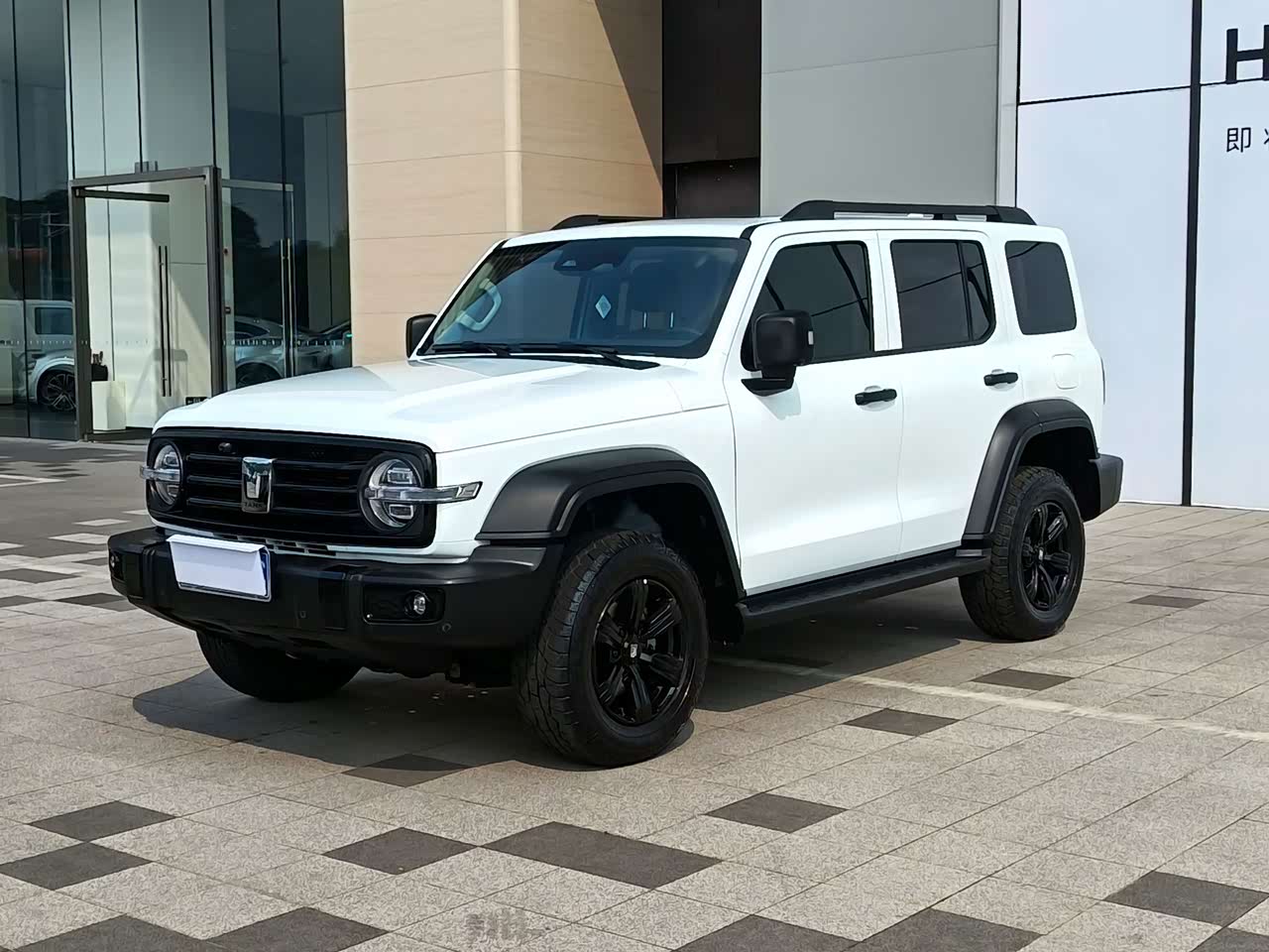 300 2023 Off-road 2.0T Conqueror