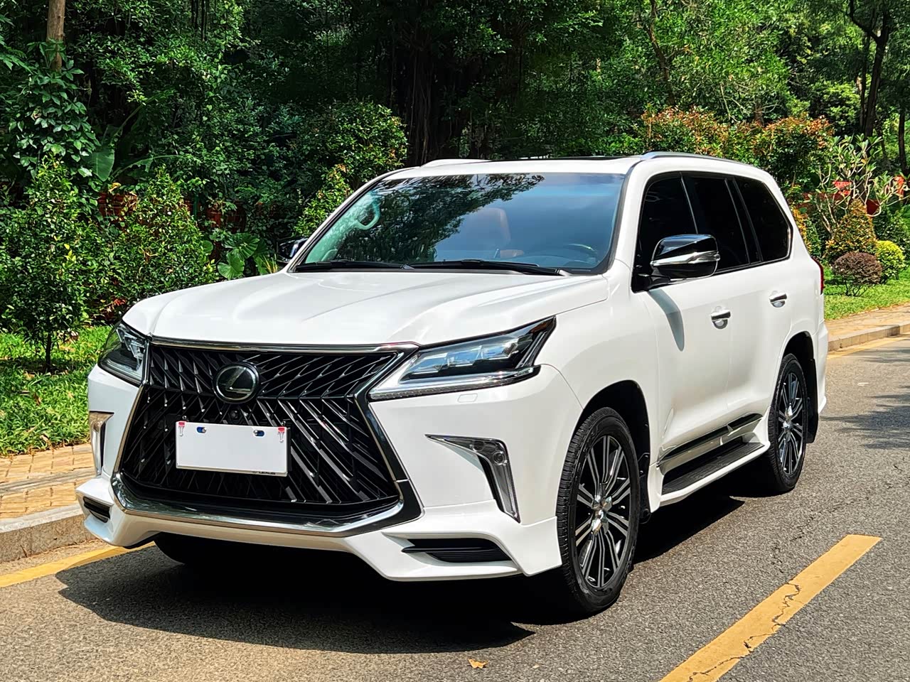 LX 2019 570 Special