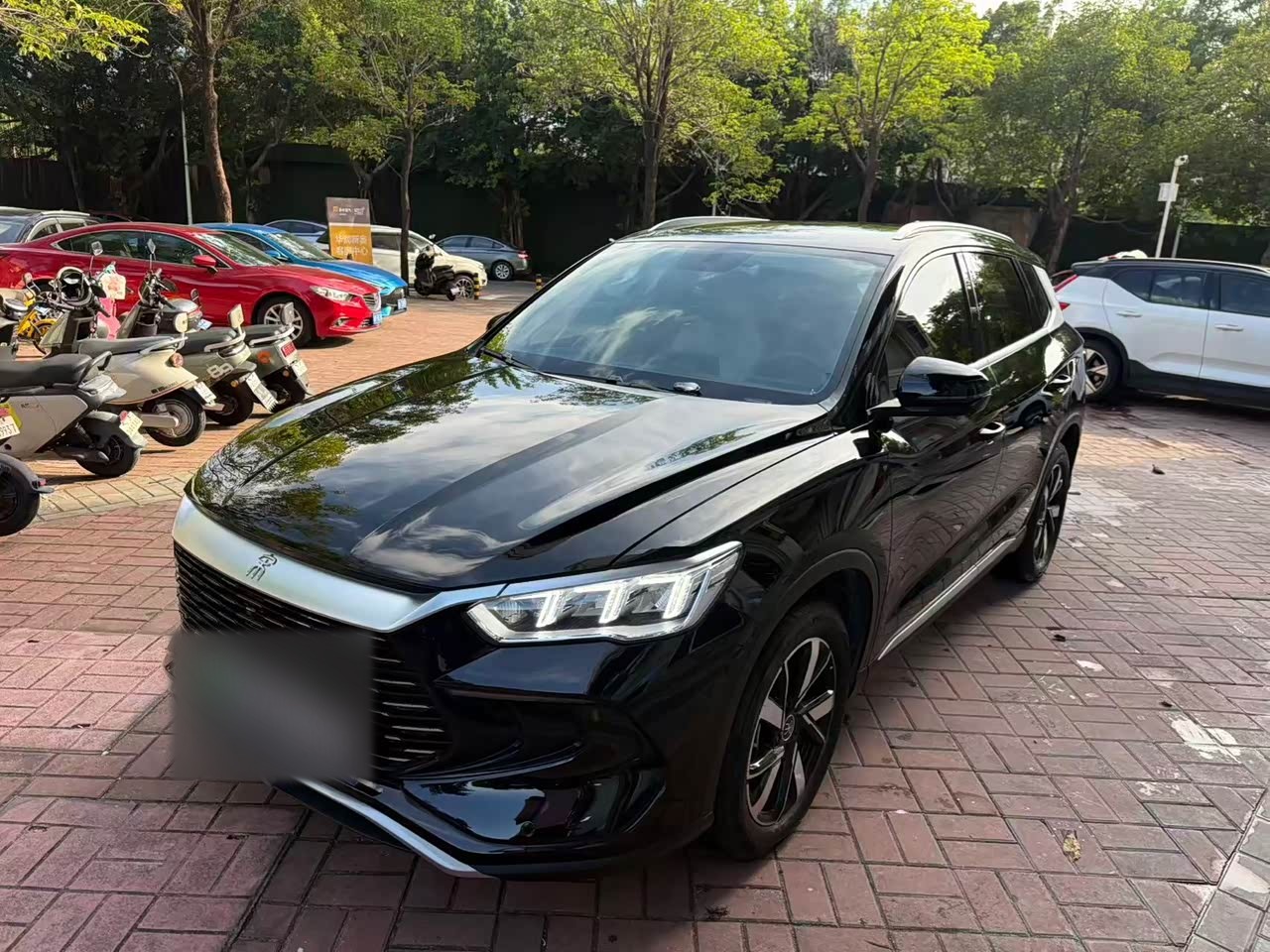 Song Pro EV 2024 Honor DM-i 71KM Pilot