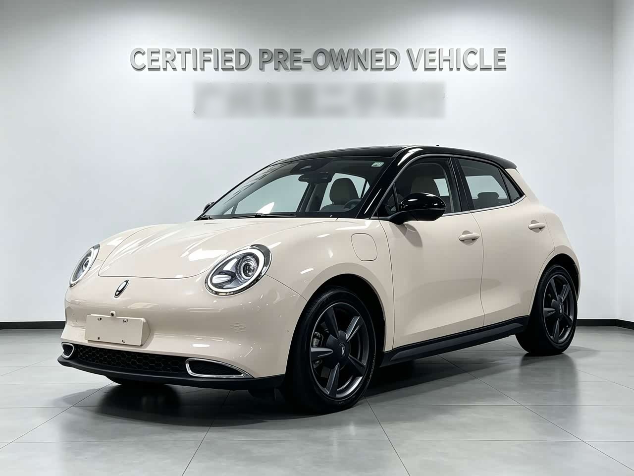 Good Cat 2022 400km Standard Range Premium LFP