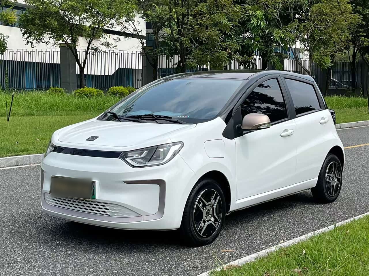 Flower Fairy 2021 302km Luxury