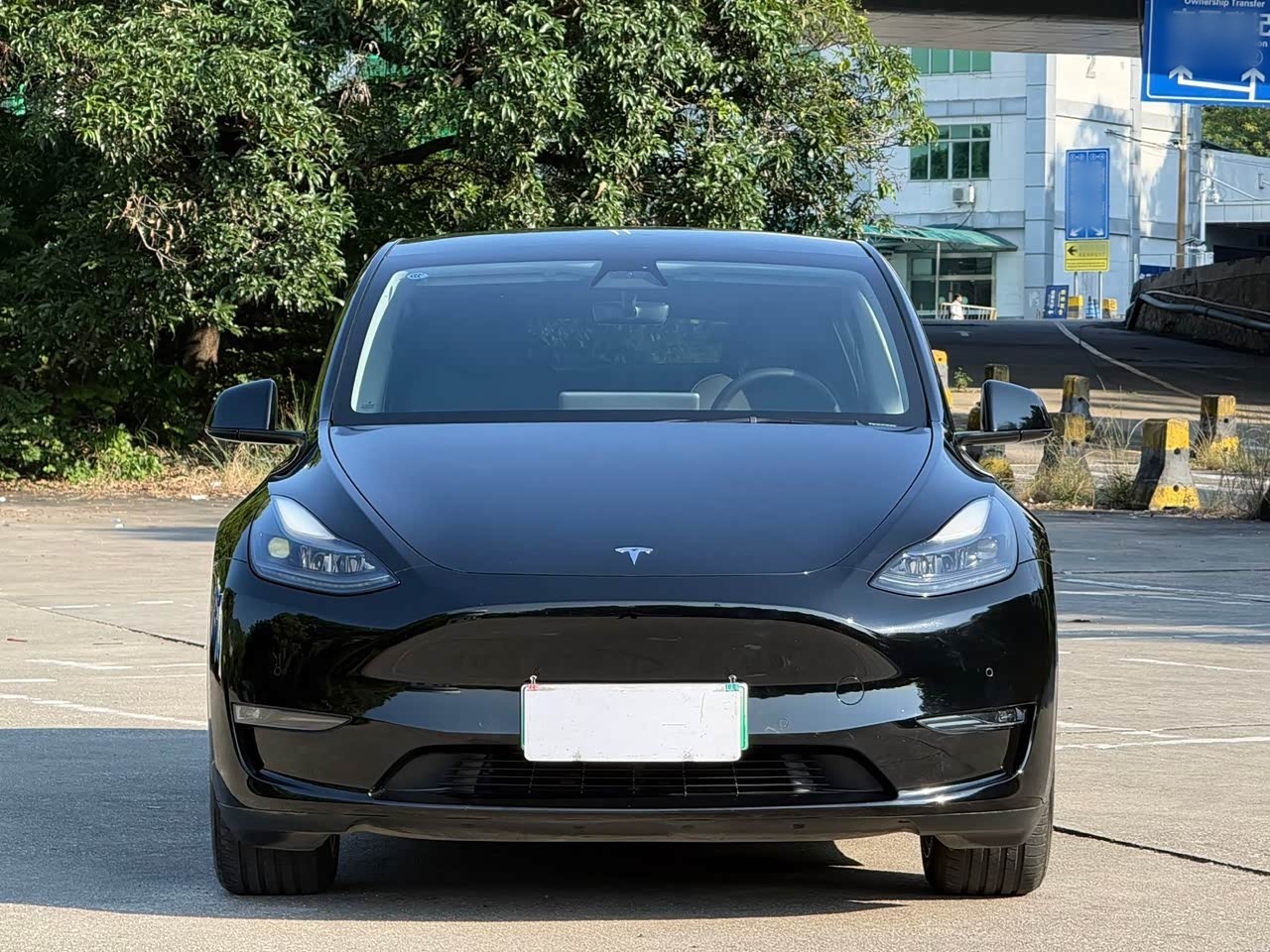 Model Y 2021 Standard Range RWD