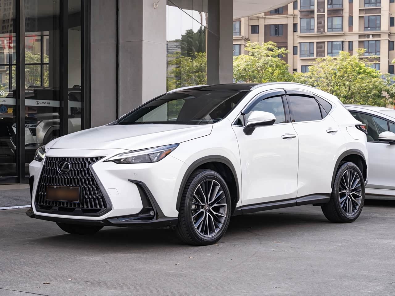 NX 2022 350h FWD