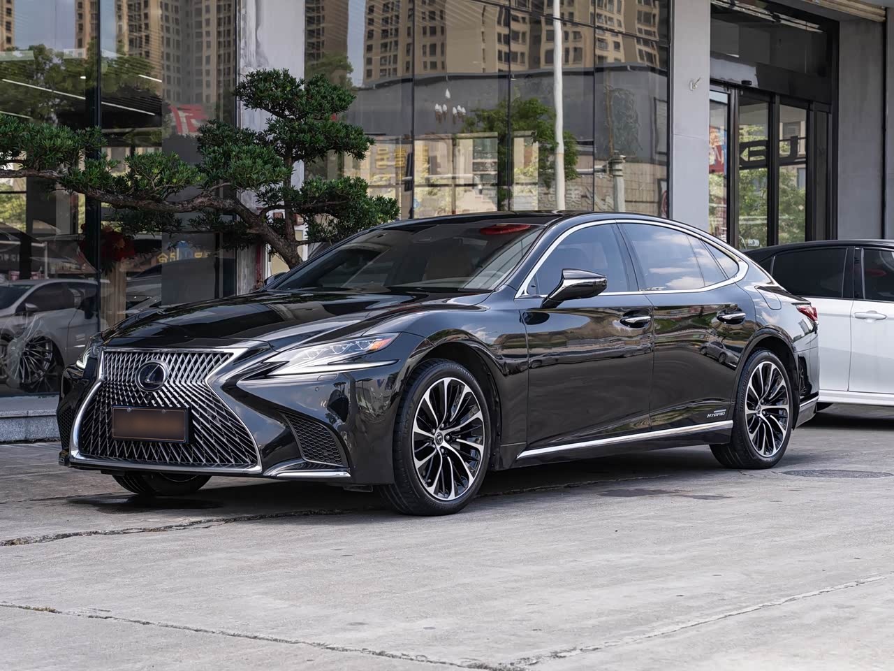 LS 2018 500h Executive China V