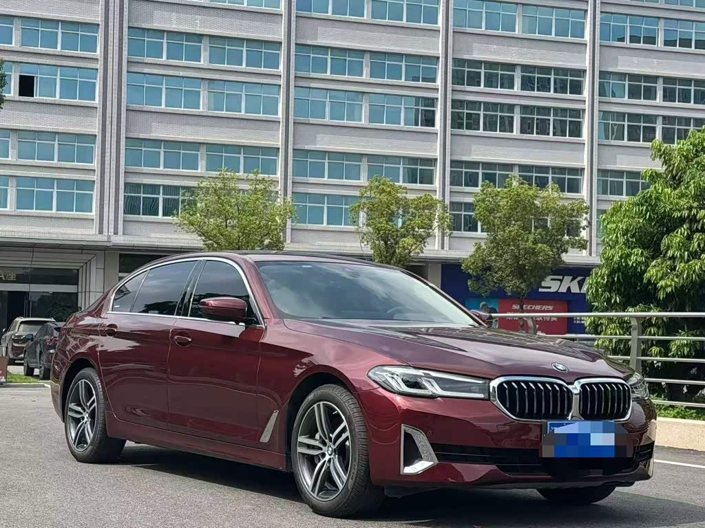 5 Series 2021 Facelift 530Li Leading Luxury
