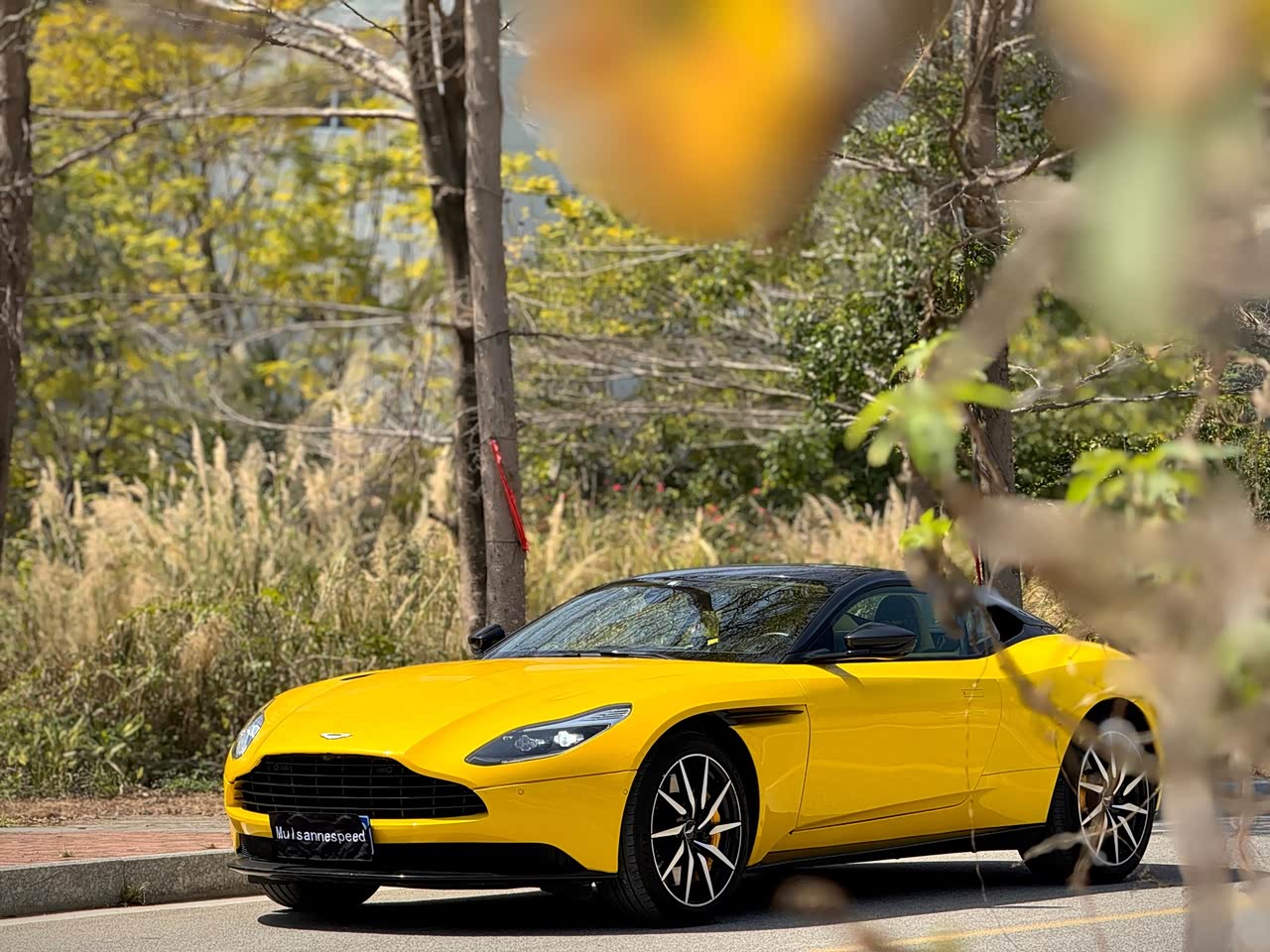DB11 2019 4.0T V8 Coupe