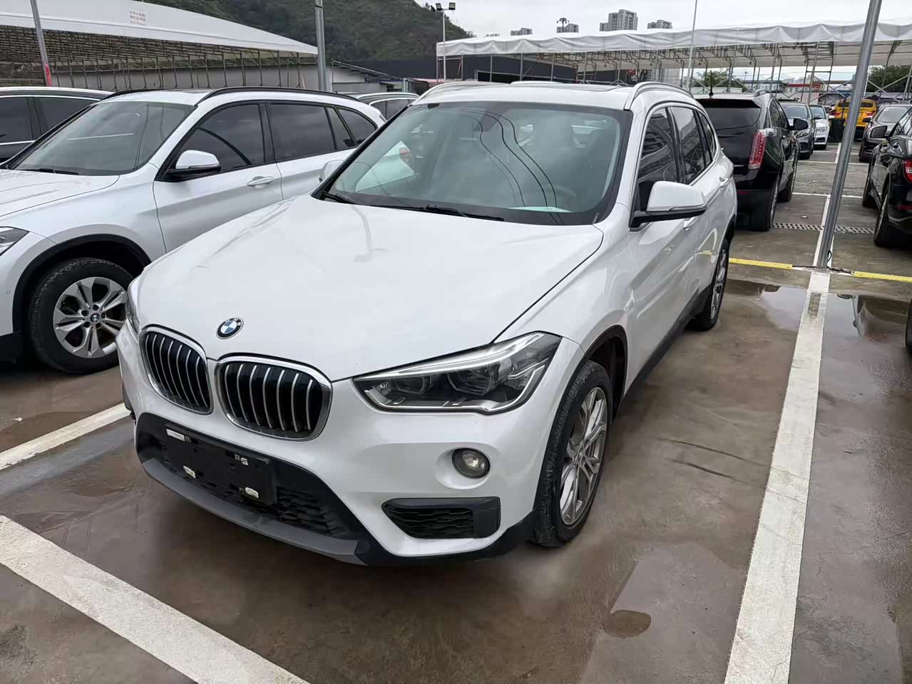 X1 2018 sDrive20Li Leading