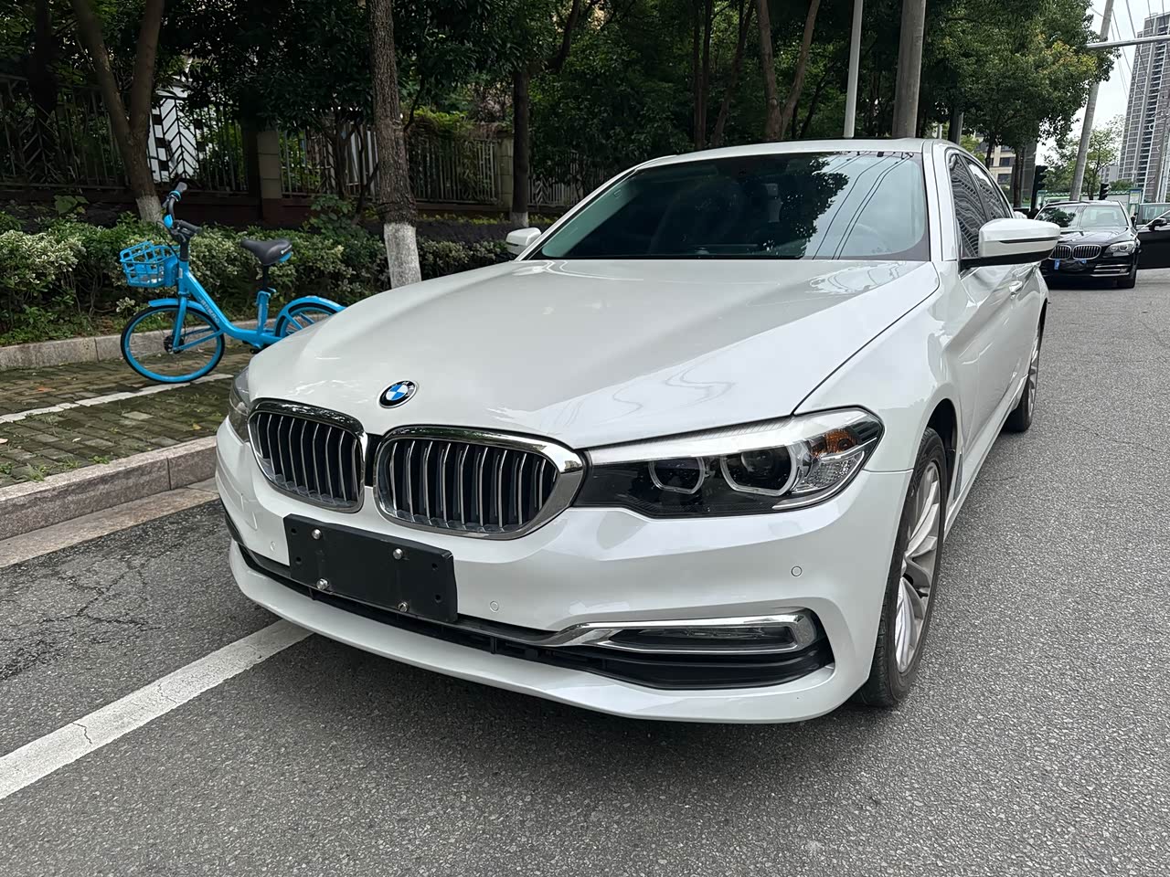 5 Series 2018 525Li Luxury