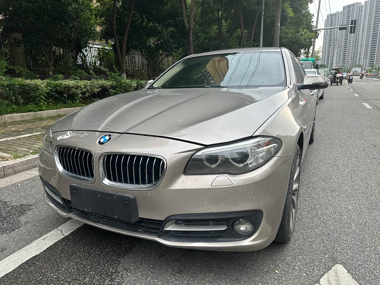 5 Series 2014 528Li Leading