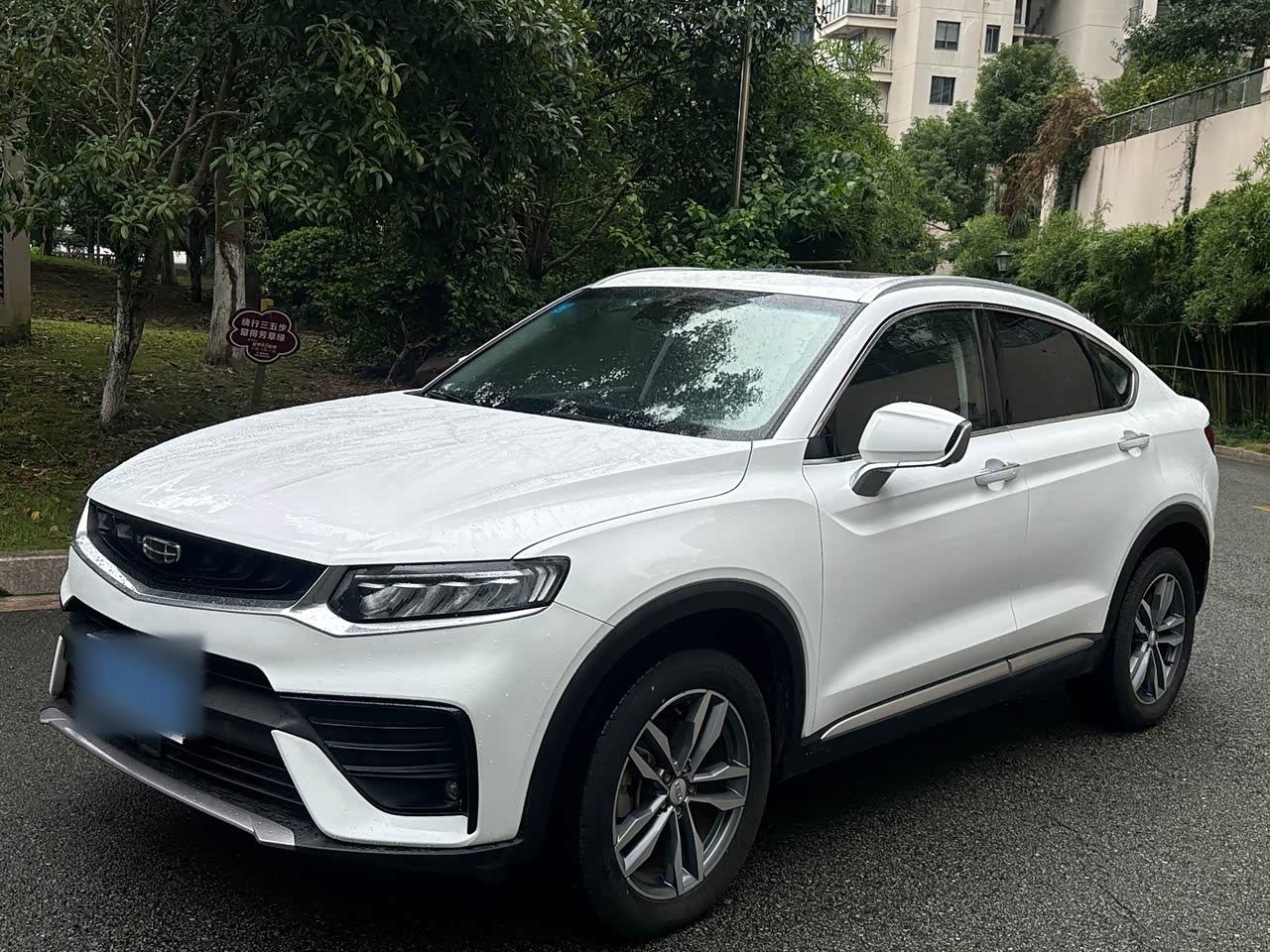 Xingyue 2019 300T