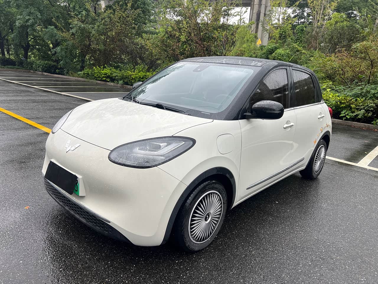 Bingo 2023 333km +