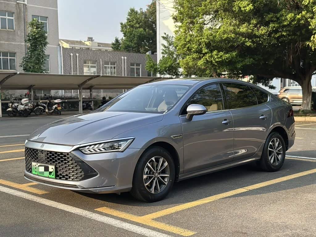 Qin PLUS 2024 Honor DM-i 55KM Leading