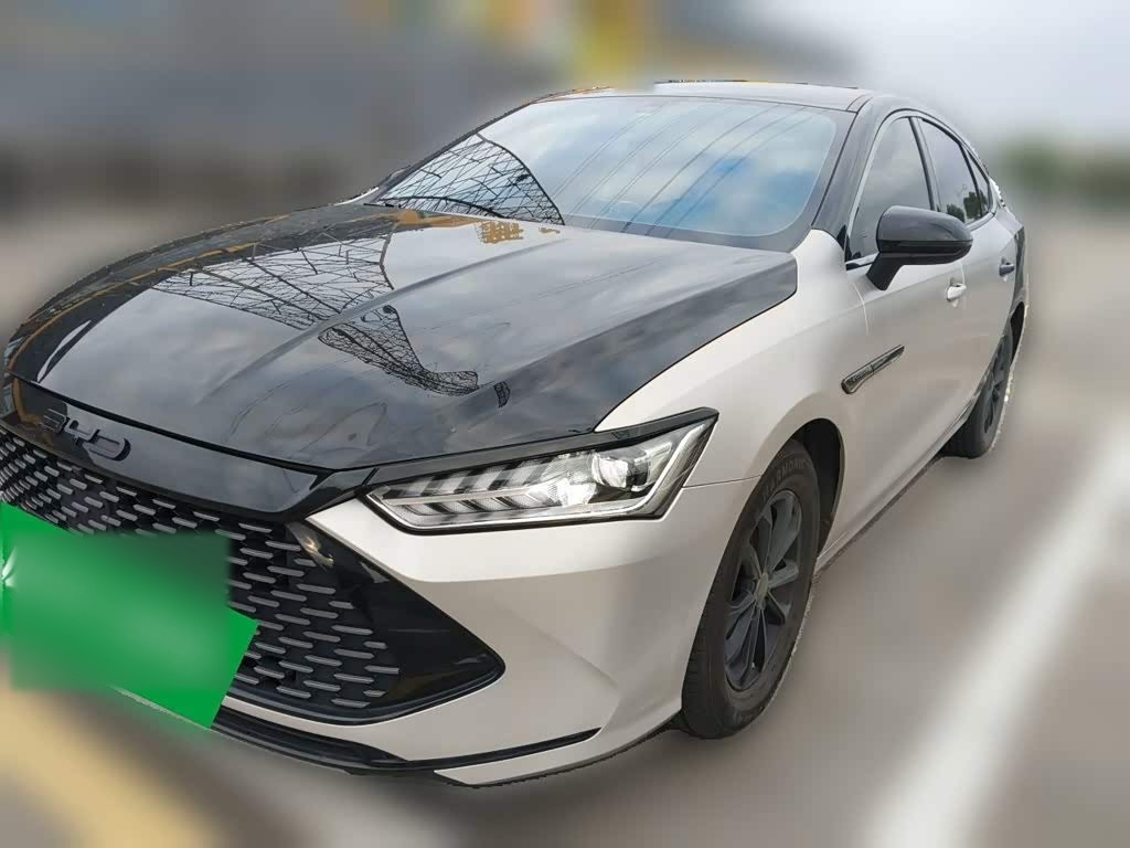 Qin PLUS 2024 Honor DM-i 55KM Leading