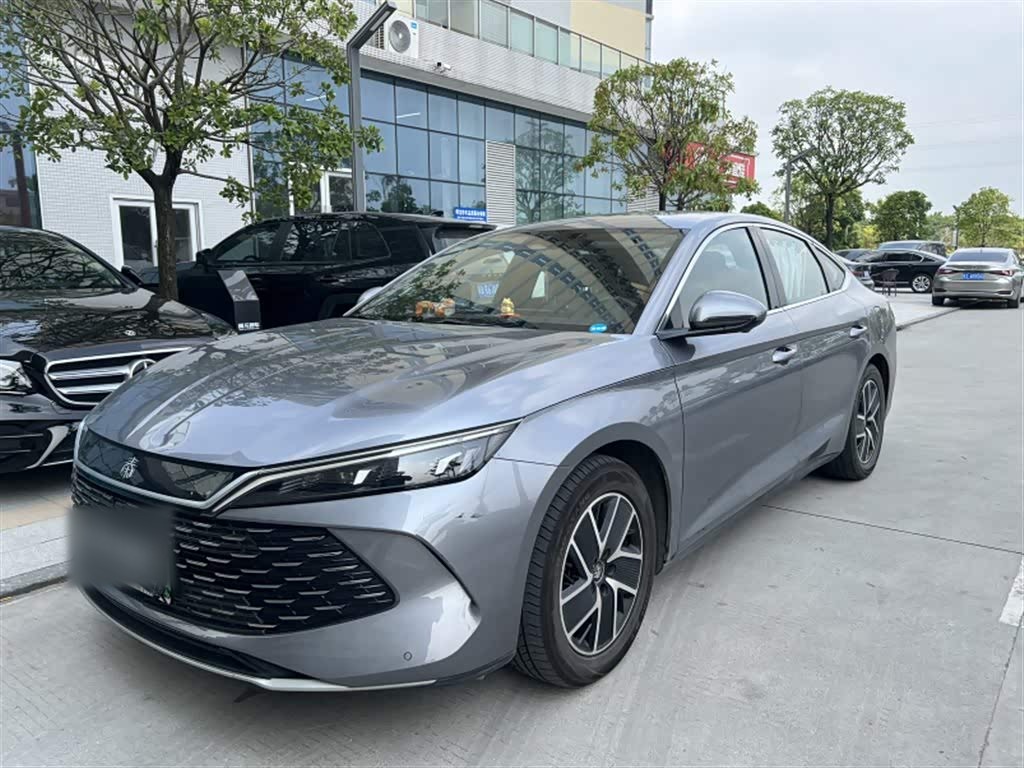 Qin L 2024 DM-i 120KM