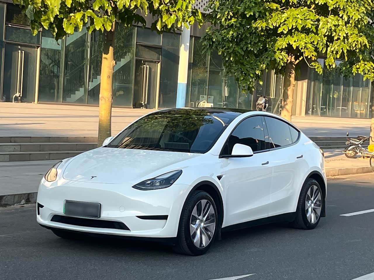 Model Y 2021 Standard Range RWD