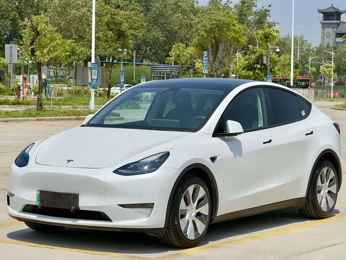 Model Y 2021 Standard Range RWD