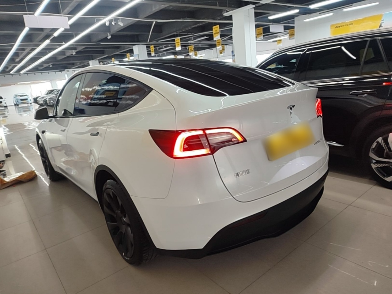 Model Y 2024 RWD photo 4