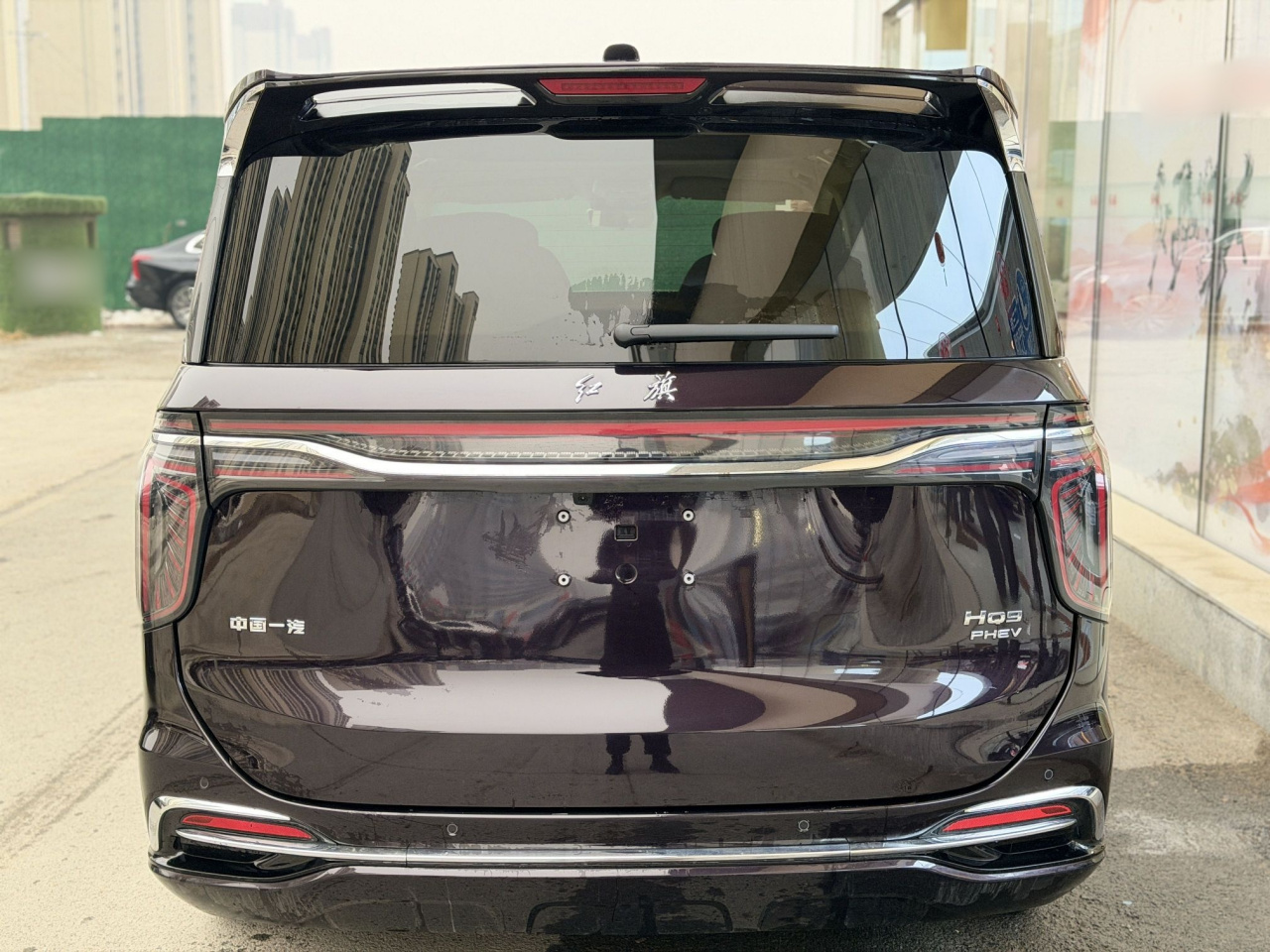 HQ9 PHEV 2024 2.0T AWD Business photo 3